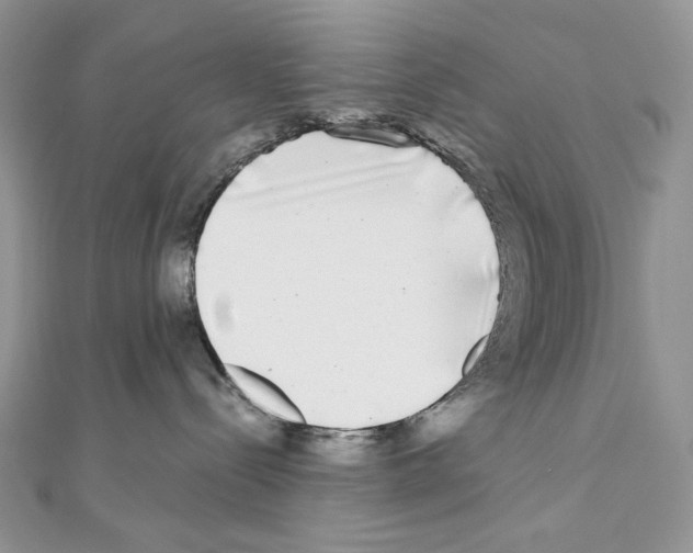 X0000111010288200907311058