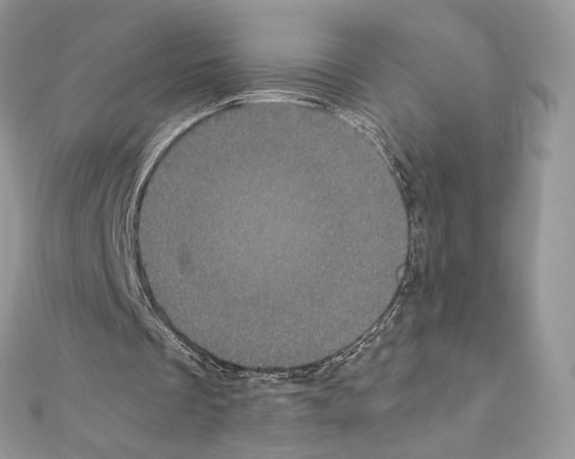X0000111010289200907311057