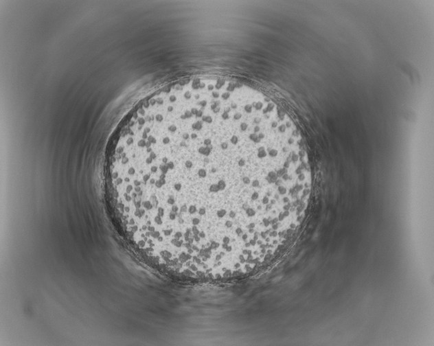 X0000111010290200907311057