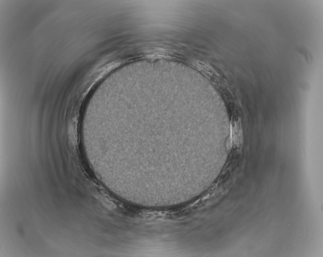 X0000111010291200907311057