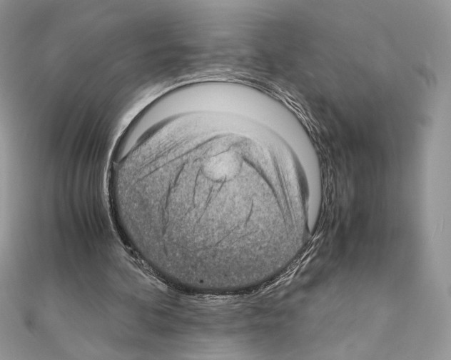 X0000111010292200907311057