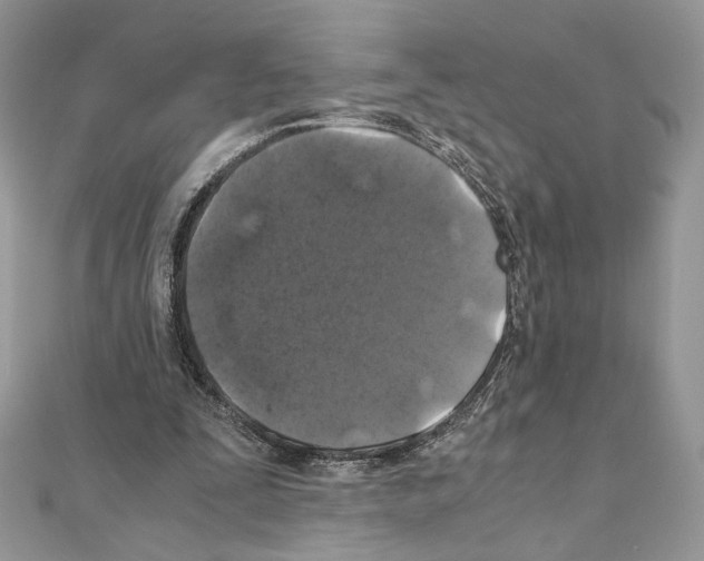 X0000111010295200907311057