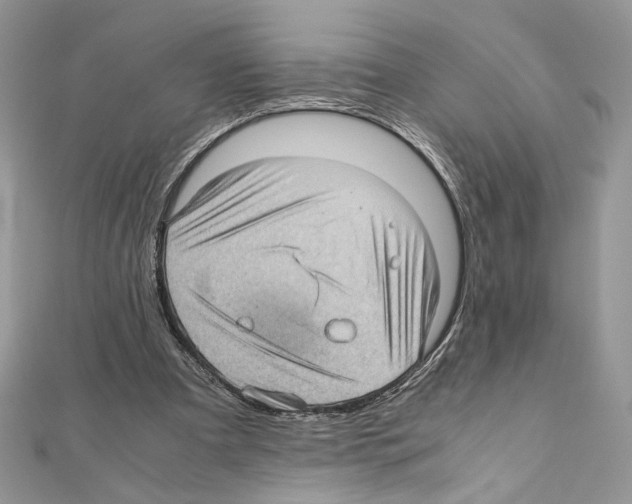 X0000111010297200907311057