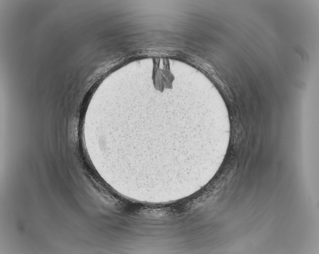 X0000111010299200907311057