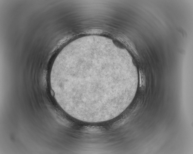 X0000111010300200907311057