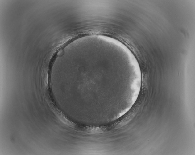 X0000111010301200907311057
