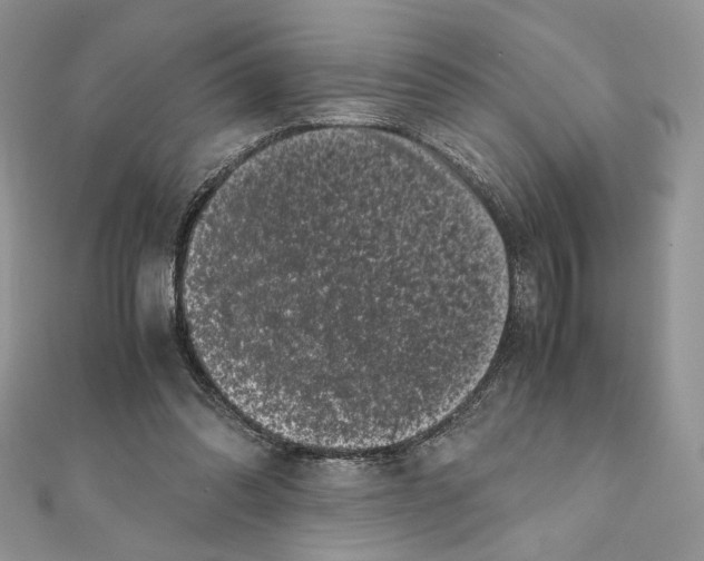 X0000111010302200907311057