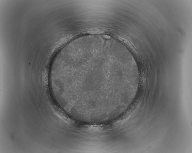 X0000111010303200907311057