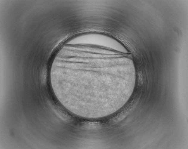 X0000111010304200907311057