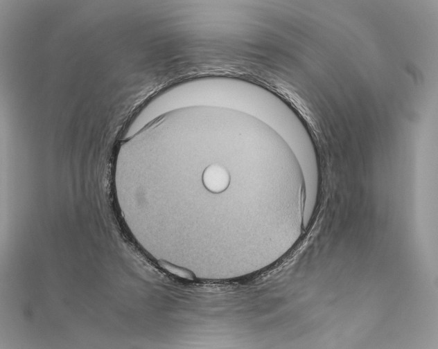 X0000111010305200907311057