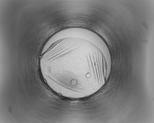 X0000111010309200907311057