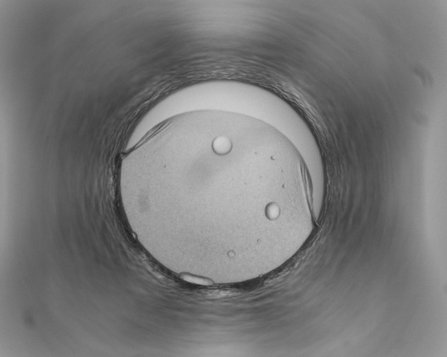 X0000111010313200907311057