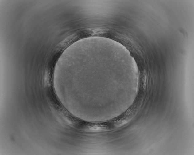X0000111010316200907311057