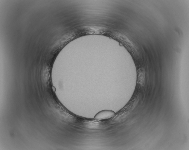 X0000111010318200907311057