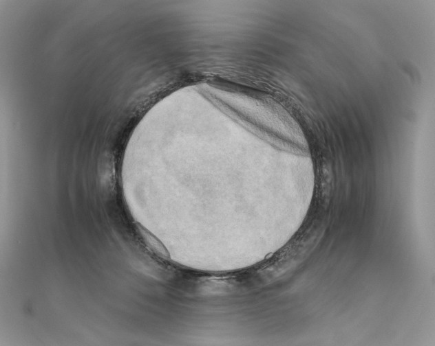 X0000111010320200907311057