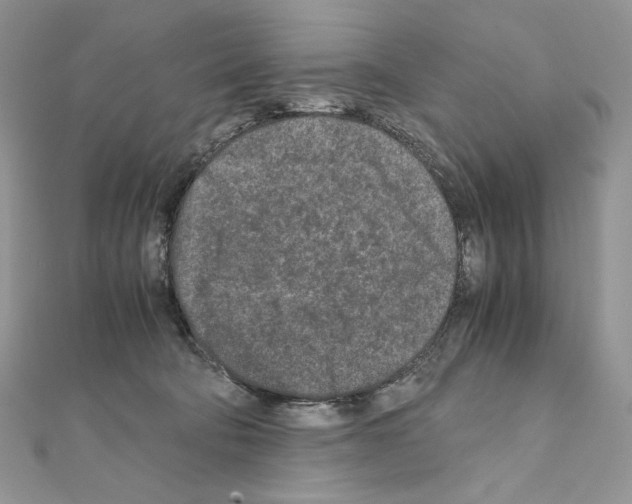 X0000111010322200907311057