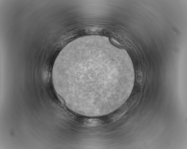 X0000111010324200907311057