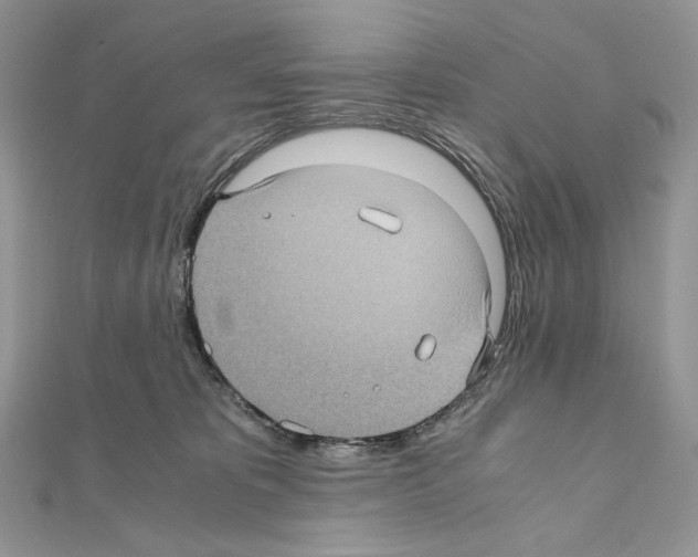 X0000111010325200907311057