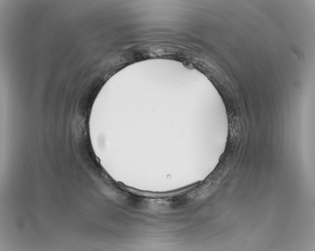 X0000111010327200907311057