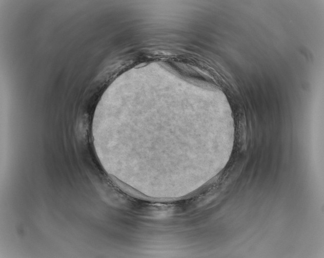 X0000111010328200907311057