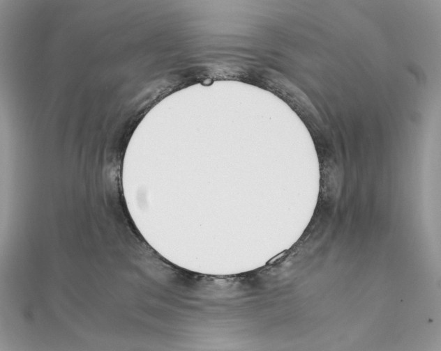 X0000111010329200907311057