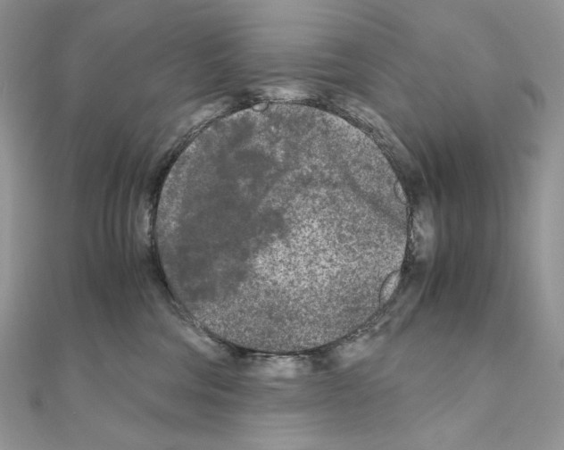 X0000111010330200907311057