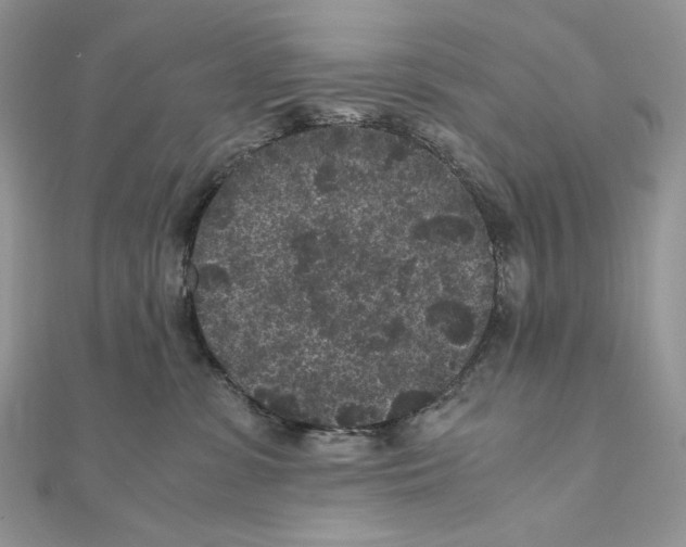 X0000111010331200907311057
