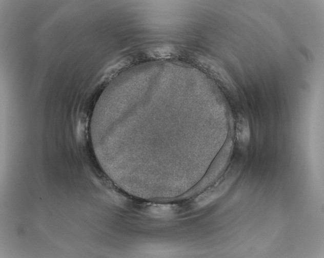 X0000111010332200907311057