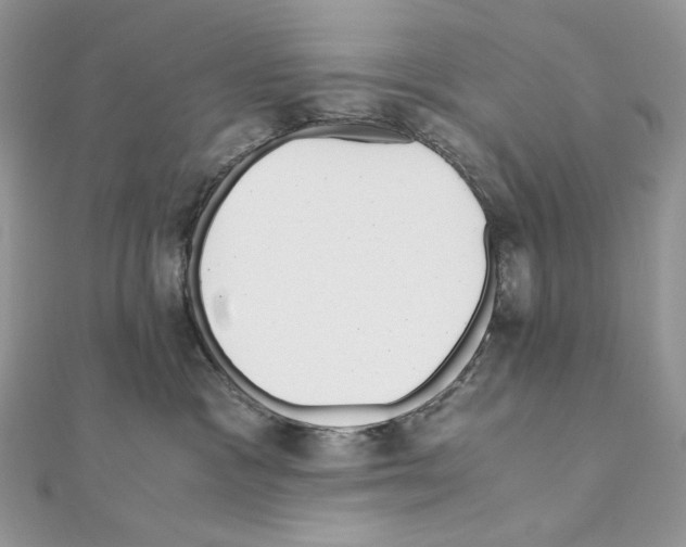 X0000111010333200907311057