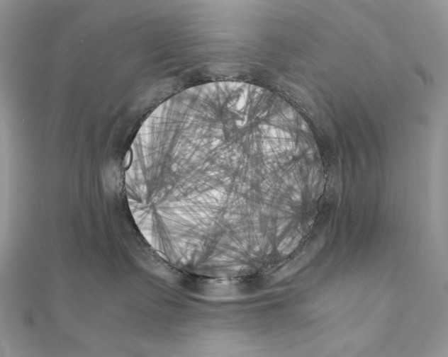 X0000111010335200907311057