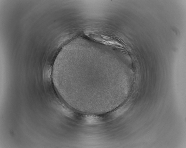 X0000111010336200907311056