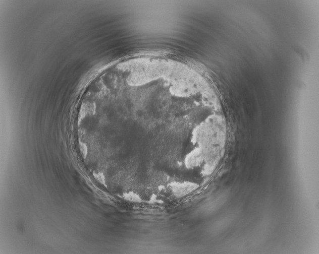 X0000111010337200907311056