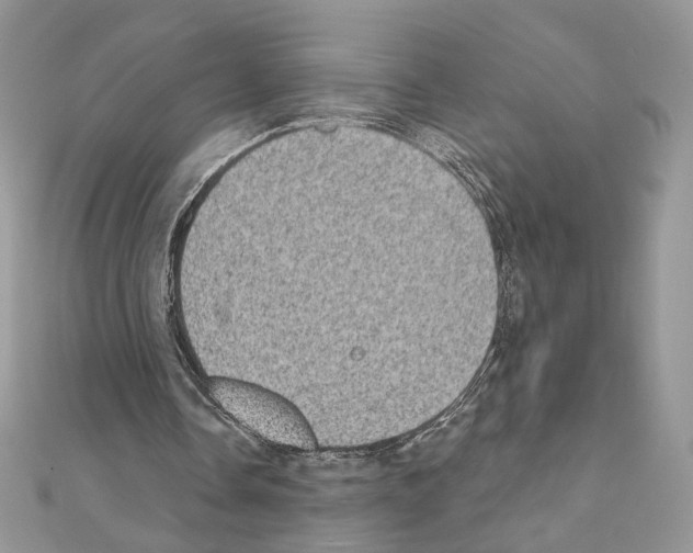 X0000111010338200907311056
