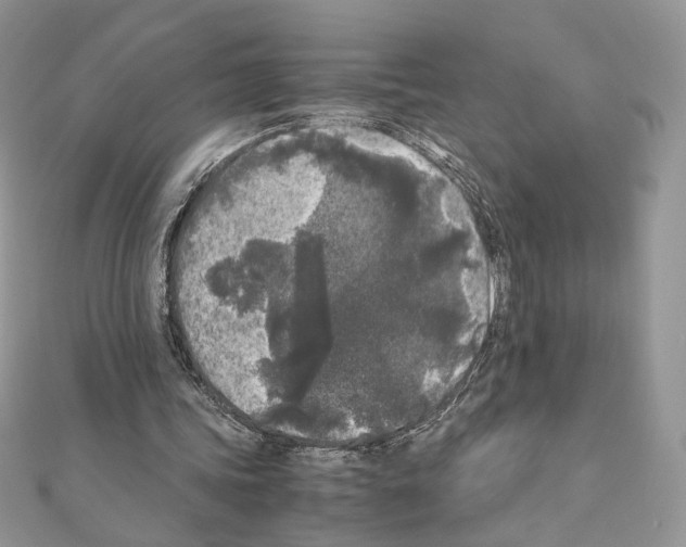 X0000111010339200907311056