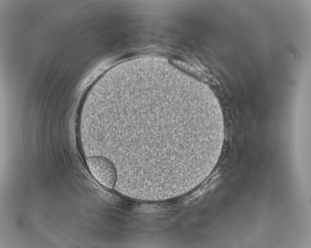 X0000111010341200907311056