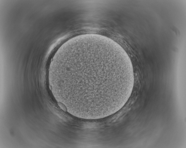 X0000111010342200907311056
