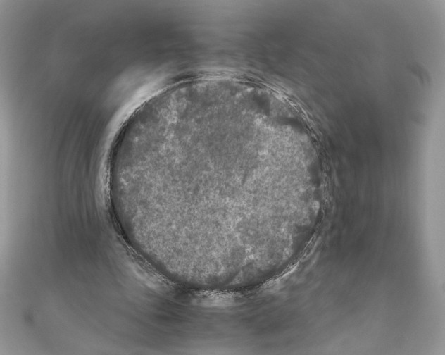 X0000111010343200907311056