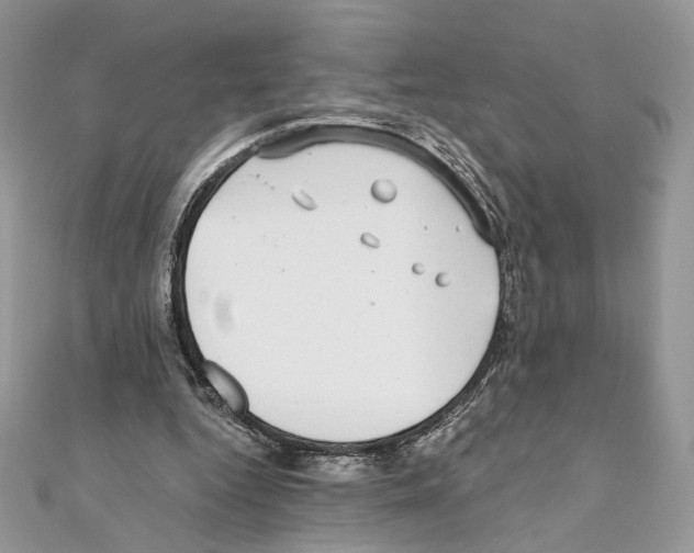 X0000111010344200907311056
