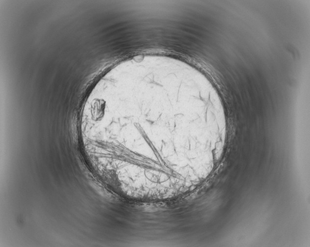 X0000111010345200907311056