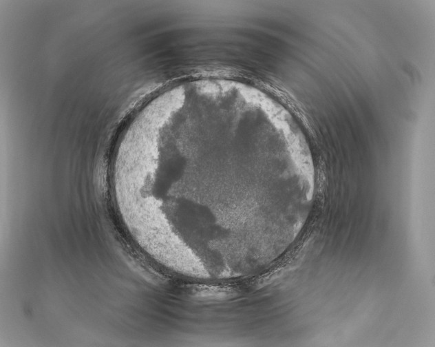 X0000111010347200907311056