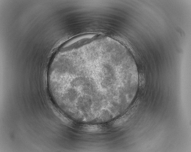 X0000111010349200907311056
