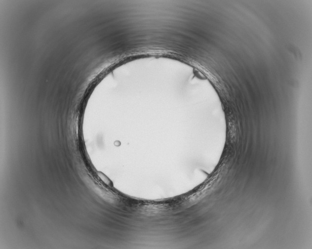X0000111010350200907311056