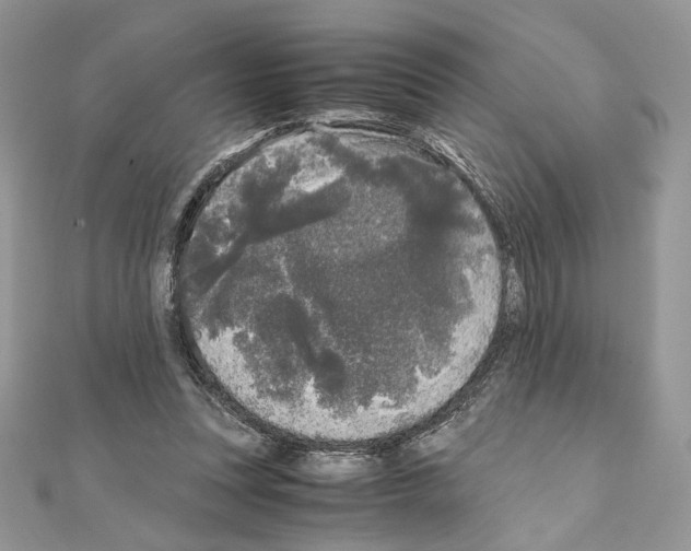X0000111010351200907311056