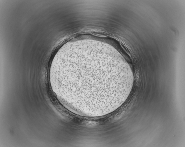 X0000111010352200907311056