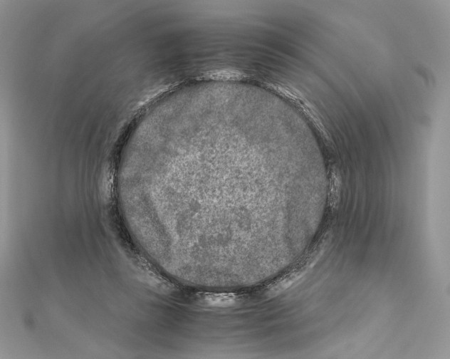 X0000111010355200907311056