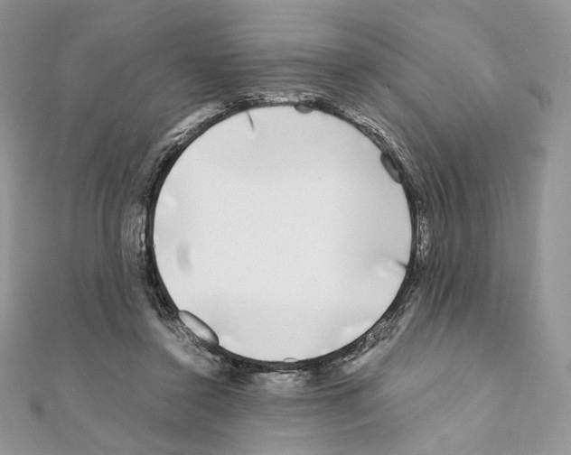 X0000111010356200907311056