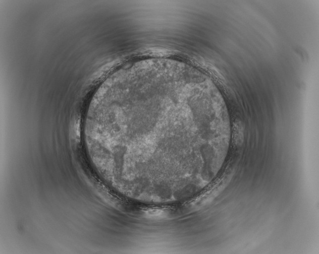 X0000111010358200907311056