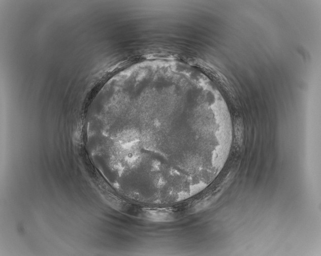 X0000111010359200907311056