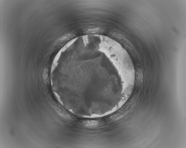X0000111010361200907311056