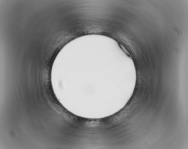 X0000111010362200907311056